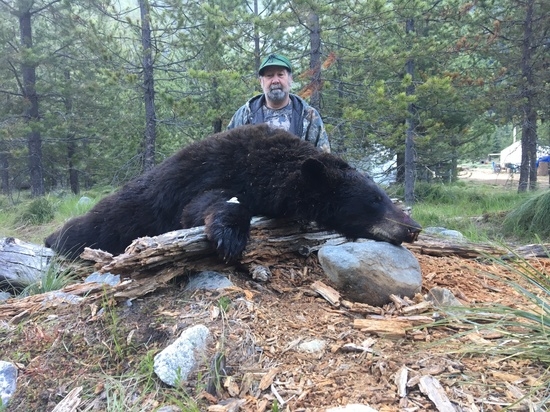 Idaho Black Bear Hunts | Bear Hunting Guide Idaho - Redbone Outfitting