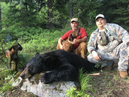 Idaho Black Bear Hunts | Bear Hunting Guide Idaho - Redbone Outfitting