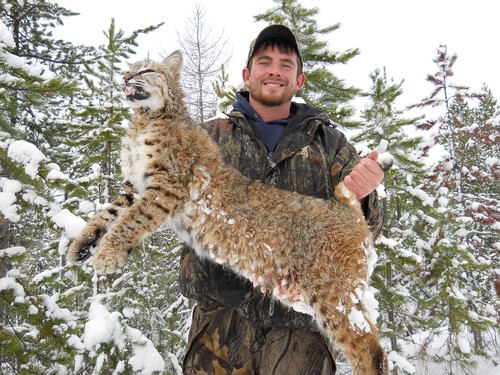 Montana Mountain Lion Hunting Guide | Cougar Hunting Outfitter in Montana