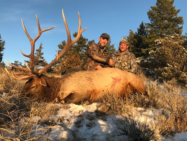 Elk Hunting | Elk | Elk hunt | Bull Elk | Elk Guides | Elk camp